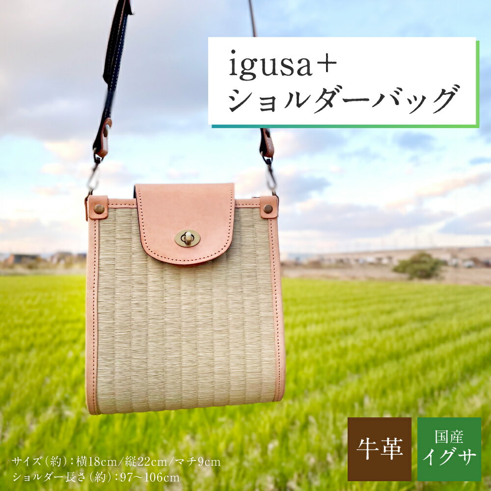 【ふるさと納税】 【igusa＋】 イグサ ショルダーバッグ イグサ い草 レザー 牛革 送料無料