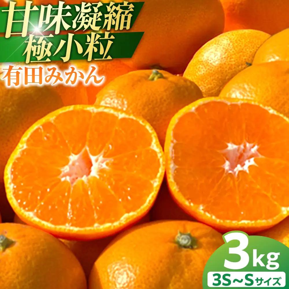 完熟 有田みかん 3kg みかん 小粒 