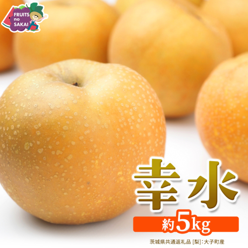 幸水 約5kg【2026年8月より発送開始】（茨城県共通返礼品 [梨]：大子町産） 高糖度 ギフト 贈り物 プレゼント フルーツ なし ナシ 和梨  梨 果実 旬のフルーツ お取り寄せ くだもの 果物 みずみずしい [FC73-NT]