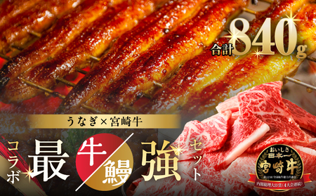 ≪数量限定≫うなぎ×宮崎牛 都農町最強セットC 肉 牛 牛肉 焼肉 国産_T030-1313