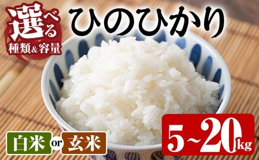 
            ＜種類・容量が選べる！＞＜令和7年産・新米＞ひのひかり 白米 玄米 (計5kg～20kg) お米 ごはん ご飯【107101002・107101102・107101202・107101302・107101402・107101502】【あいはな農園】
          