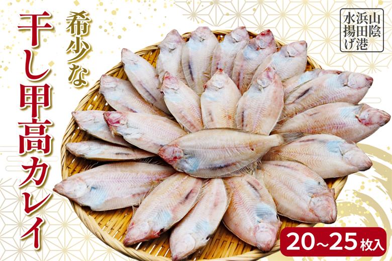 【先行予約】山陰浜田港水揚げ　希少な干し甲高カレイ（卵入り）魚介 干物 一夜干し おつまみ おかず カレイ 【019_1956】