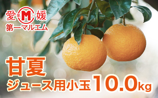 
                  甘夏 小玉 10kg ジュース 用 7000円 みかん mikan 蜜柑 ミカン あまなつ 産地直送 国産 農家直送 期間限定 数量限定 特産品 ゼリー アイス 冷凍 みかん 等に 人気 甘い フルーツ 果物 柑橘 おいしい ジューシー 愛媛県 愛南町 第一マルエム青果有限会社
                