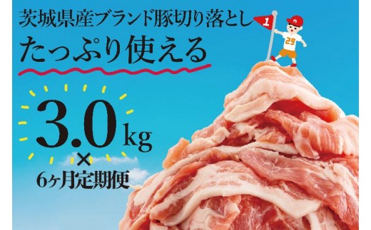 【数量限定】【6か月定期便】茨城県産豚ブランド切り落とし計18kg(３kg×6回)【肉 豚肉 切り落とし 小分け 真空 真空パック 茨城県産 肉料理 肩ロース ウデ モモ バラ 水戸市 水戸】（EC-103）