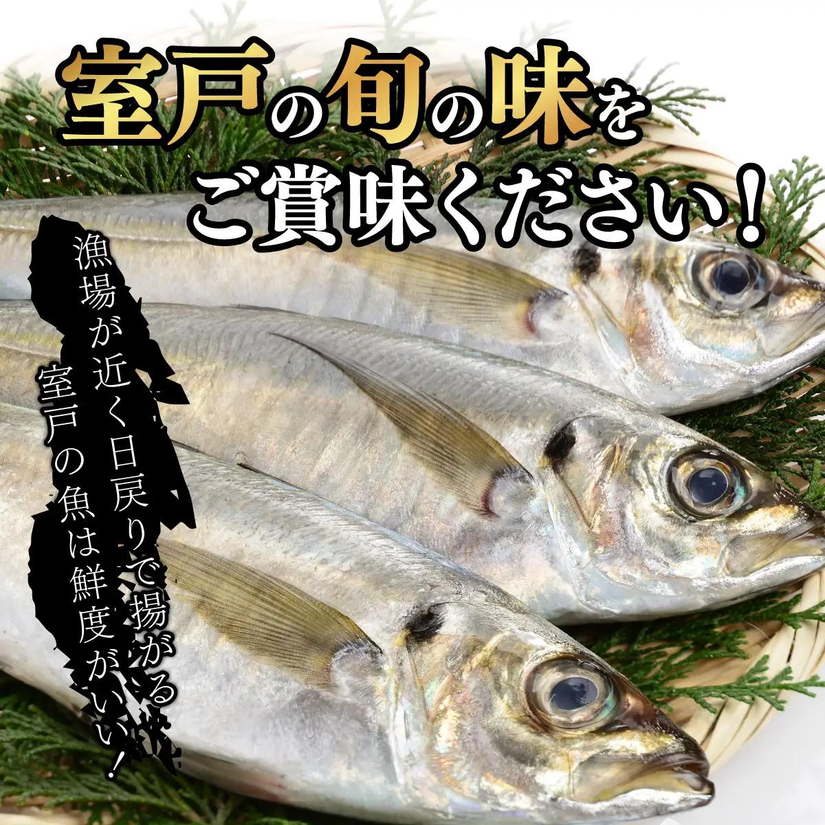 【アジの干物】いずま海産 あじの干物 10枚