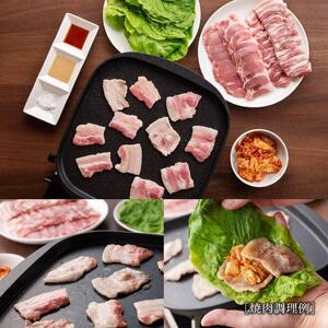 豚肉 「まるみ豚」 宮崎県産豚肉 厳選5種 計1.8kg 【豚肉】
