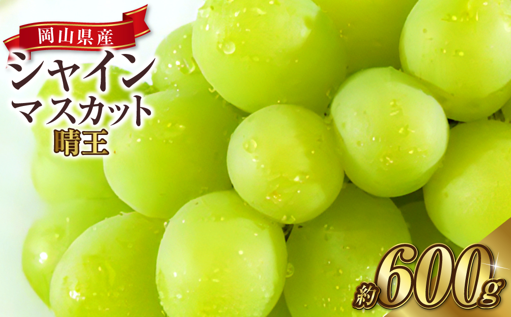 岡山県産 シャインマスカット 晴王 1房 約600g 【2024年8月下旬～10月上旬迄発送予定】 岡山 大粒 たねなし マスカット 果物 くだもの フルーツ ぶどう ブドウ 葡萄 人気