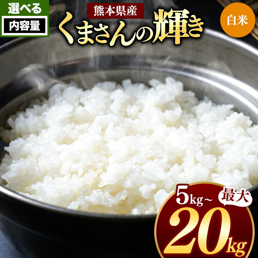 【ふるさと納税】 熊本県産 くまさんの輝き 白米 選べる 内容量 5kg 10kg 15kg 20kg | お米 おこめ 米 こめ 精米 熊本県 送料無料 おにぎり おうちごはん 炊立てご飯 玉名 熊本