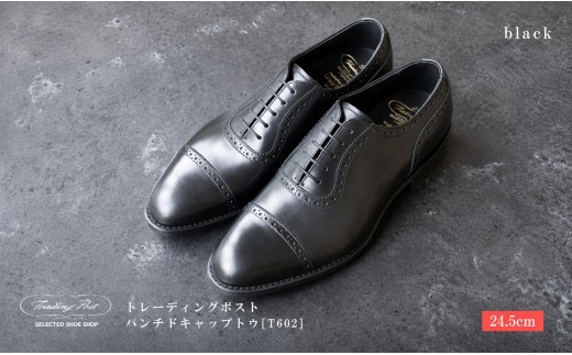 【24.5cm】トレーディングポスト パンチドキャップトウ[T602] （カラー：BLACK）