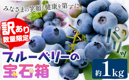 【2026年先行予約】【訳あり数量限定】ブルーベリー 計1kg (250g×4パック) ブルーベリーの宝石箱 かさおか青空ファーム 先行予約《2026年6月上旬-8月下旬頃出荷》 岡山県 笠岡市 送料無料 フルーツ 果物 岡山県産 国産 ブルーベリー お取り寄せ st-p