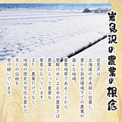 ふるさと納税 岩見沢市 《令和7年産》お米 ななつぼし 10kg|『100%自家生 産精米』善生さんの自慢の米 ※一括発 |  | 02