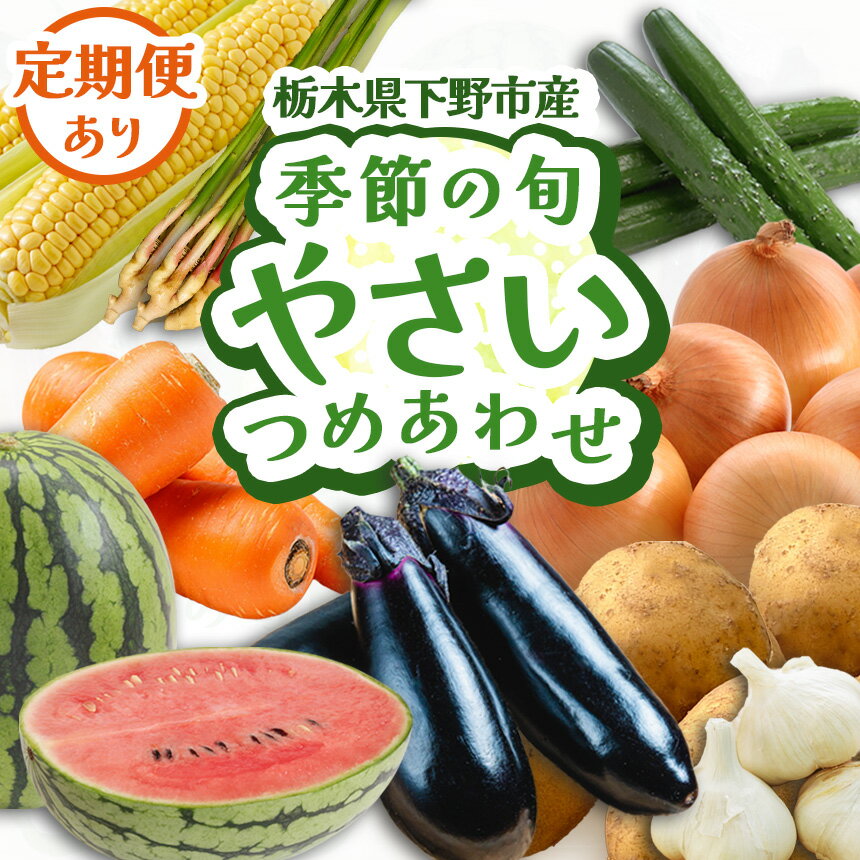 【ふるさと納税】【選べる定期便】下野市産 季節の旬野菜詰め合わせ | 定期便 下野市 旬野菜 詰め合わせ 野菜セット 地元野菜 栃木県産 新鮮野菜 産地直送 野菜通販 季節野菜 地場野菜 お取り寄せ 下野市野菜 野菜詰合せ 有機野菜 地元農家 栃木野菜 栃木県 下野市