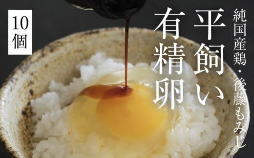 
            平飼い有精卵 10個《西粟倉村》【株式会社点々】t-SS-AlDA
          