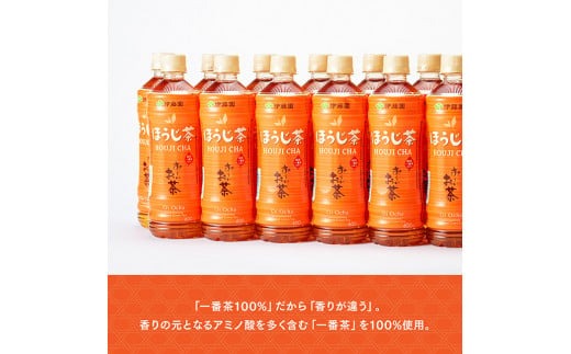 お～いお茶 ほうじ茶 600ml×48本 【 飲料 飲み物 ソフトドリンク お茶 ペットボトル ケース 備蓄 送料無料 】 [D07350]