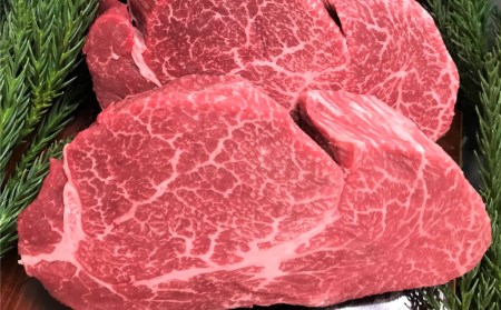 飛騨牛 5等級 ヒレ肉 ヒレステーキ 厚さ3cm以上 3枚で900g 希少 BBQにも 古里精肉店[AW074]