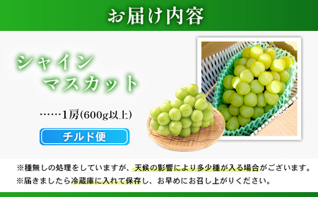 【2025年先行予約】《2025年10月上旬～11月下旬出荷》 宮城県丸森町産 シャインマスカット　1房(1房 600g以上)【48002】