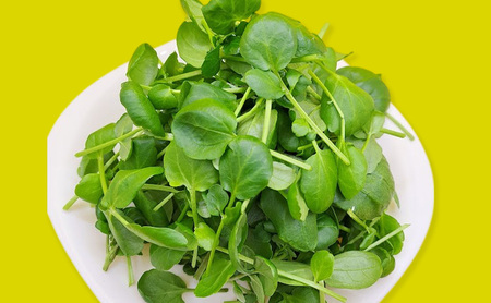 【Aセット】エディブルフラワー(生花20輪)2パック サラダクレソン(80g) 食用花 食べられる花 生け花 誕生日 プレゼント 飾り付け 食用 お菓子【配達不可：離島】