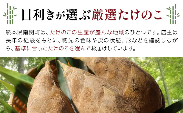 ＼米ぬか付き／先行受付 令和9年産 特選生たけのこ 食べ比べ 2kg×2回《3月中旬-4月中旬頃出荷》熊本県産 南関 タケノコ 筍 竹の子 掘りたて 採れたて 春 野菜 国産 新鮮 炊き込みご飯 土佐