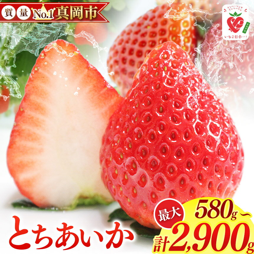 【ふるさと納税】鮮度抜群 とちあいか 約580～約2900g | 選べる 容量 1箱 2箱 3箱 4箱 5箱 日本一 産地 大粒 冬 味覚 いちご 苺 イチゴ ストロベリー 大きい ハート 美味しい 果汁 ジューシー 甘い あまい 甘味 たっぷり 大容量 | 人気 レビュー 栃木県 真岡市 送料無料