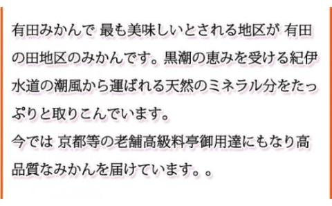 【ご家庭用訳あり】田村みかん　5kg　※2024年11月下旬頃～2025年1月下旬頃に順次発送予定【uot754】