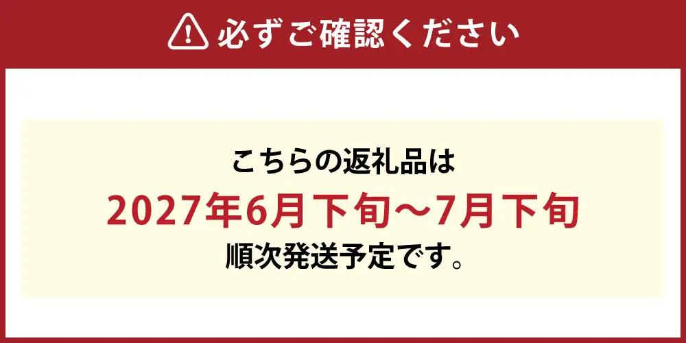 《ご家庭用》 岡山の白桃 （早生種） 5～6玉 （合計約1.3kg） 桃 もも モモ 白桃 くだもの 果物 国産フルーツ 国産 岡山県 倉敷市 【2027年6月下旬～7月下旬迄順次発送予定】