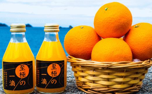 【無添加】田村みかんの新鮮100％ジュース「至極の一滴」180ml×15本入り★2024年1月下旬頃より順次発送 BZ107