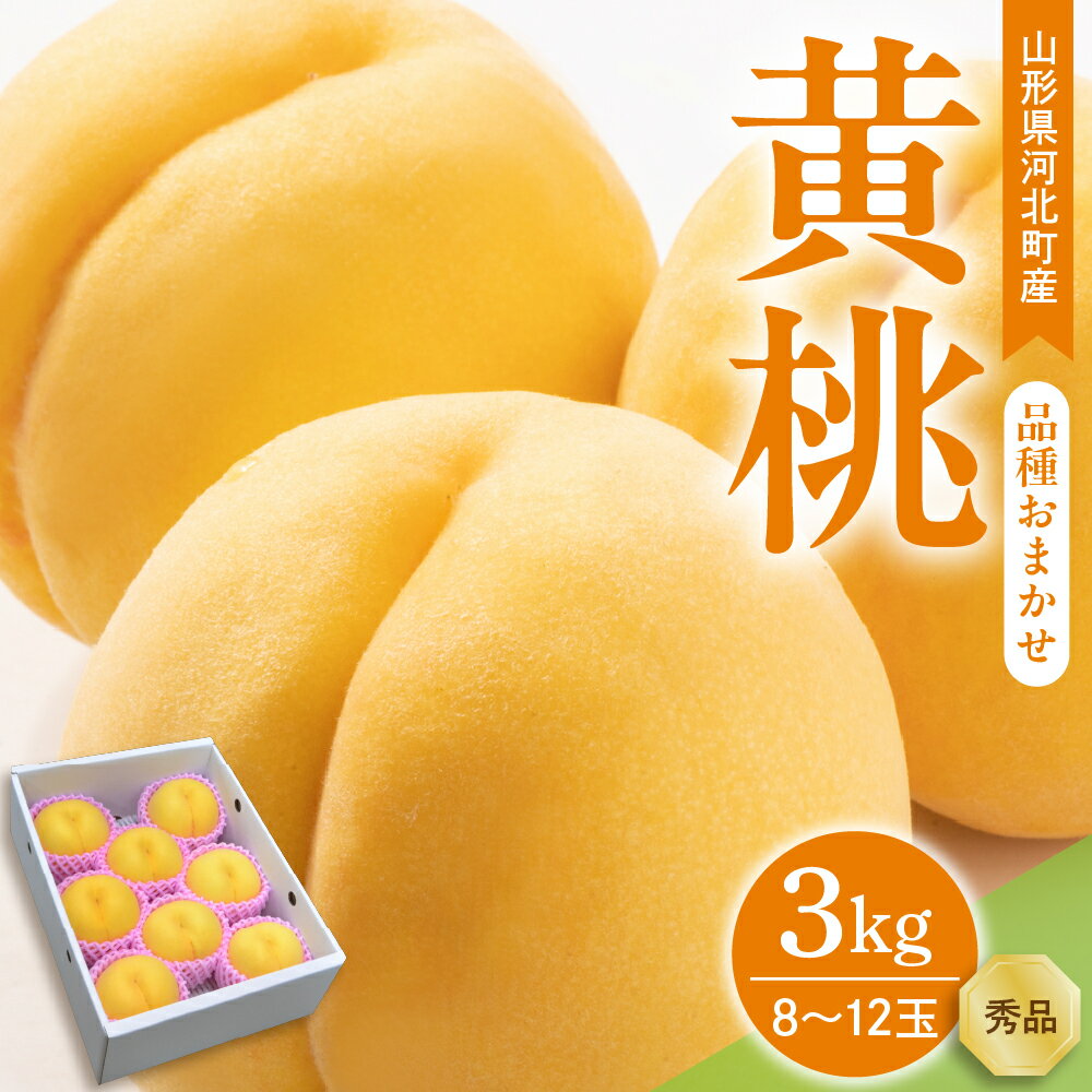 【ふるさと納税】令和7年産 黄桃 品種おまかせ 3kg (8〜12玉前後) ギフト箱入 秀品 山形県産 もも モモ ピーチ 桃 山形県 河北町