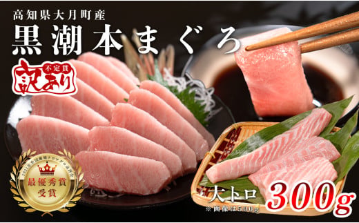マグロ 訳あり まぐろ 本マグロ 刺身 大トロ 300g 養殖 本まぐろ さしみ 刺し身 ネギトロ ねぎとろ 漬け丼 海鮮丼 まぐろたたき 海鮮セット 柵 年末 年始 正月 高知県 大月町