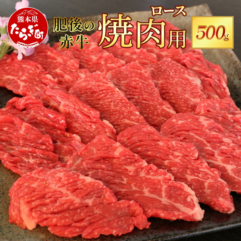【ふるさと納税】熊本県 肥後 の 赤牛 ロース 焼肉用 500g ブランド牛 牛肉 焼肉 やきにく 焼き肉 多良木町 国産 和牛 焼き肉 スライス お取り寄せ グルメ 肥後 国産 九州 熊本県産 冷凍配送 熊本県 多良木町 定期便 送料無料