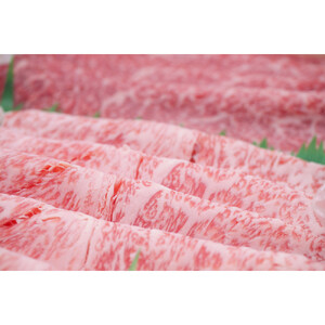近江牛 すき焼き・しゃぶしゃぶ用 【霜降り・赤身盛り合わせ】500ｇ