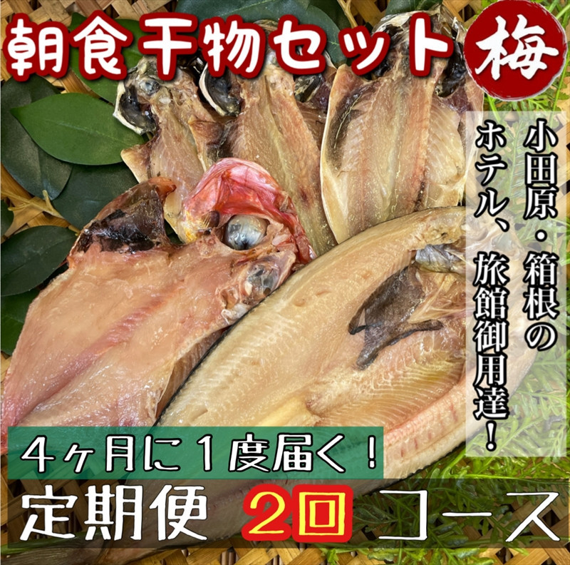 【4ヶ月に1回配送 定期便2回】小田原、箱根の旅館、ホテル御用達！朝食干物セット 梅【 まぐろや 神奈川県小田原市 】 142069_DQ228