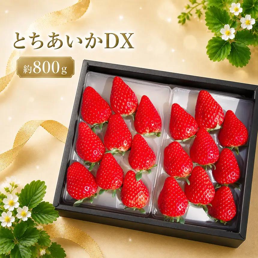 完熟朝摘みとちあいか DX 800g 【2027年1月以降発送】ギフト 贈答 | いちご 苺 フルーツ  澳原いちご農園 栃木県 矢板市