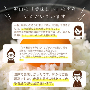 【卵 6回定期便】 赤卵 冷蔵 30個 卵