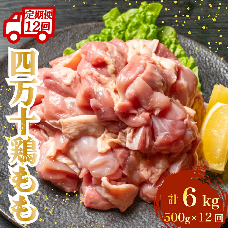 【ふるさと納税】 定期便! 四万十鶏 もも肉 計6kg（500g×12ヶ月連続お届け) | 精肉 切身 カット 時短 小分け 小分けパック カット済み 鳥肉 とりにく 鶏もも 鶏モモ肉 鶏肉 冷凍 冷凍保存 冷凍ストック 国産 ブランド 銘柄どり 簡単調理 高知県 黒潮町 4wコース ［1793］