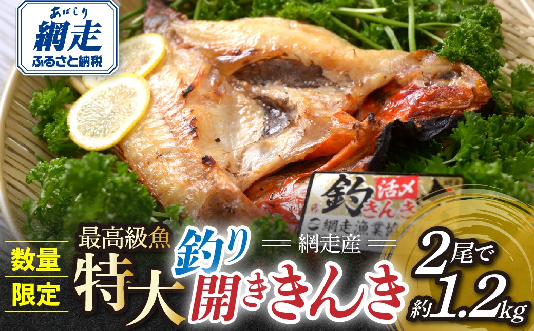 
                  【数量限定】網走産最高級魚特大 釣り開きキンキ２尾で約1.2kg【 ふるさと納税 人気 おすすめ ランキング きんき 釣りきんき 縁起物 喜知次 吉次 キチジ 海の幸 お手軽 簡単調理 干物 海鮮 魚介 魚 おかず オホーツク 北海道 網走市 送料無料 】 ABAO147
                