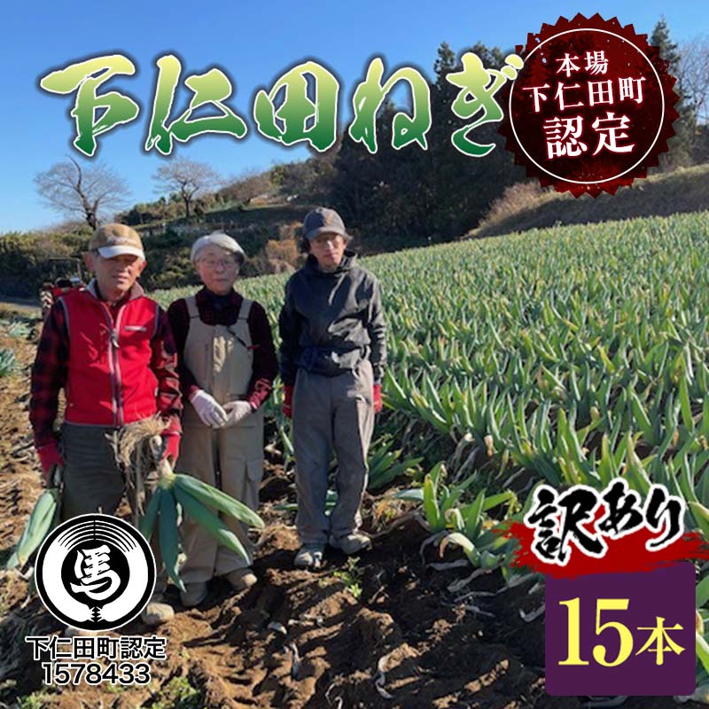 【ふるさと納税】訳あり（家庭用）本場下仁田町認定 葱の会会員がつくった下仁田ねぎセット (Sサイズ 15本) とろける 甘い ねぎ ネギ 王様ねぎ 殿様ねぎ 特産 栄養たっぷり ブランド 上州ねぎ すきやき 野菜 F21K-611