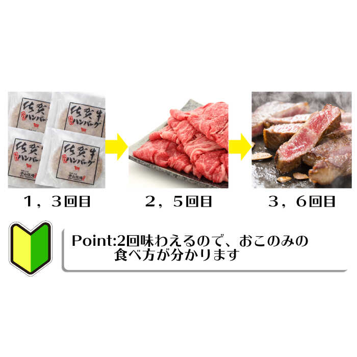 【佐賀牛お試し計6回定期便】佐賀牛の初心者限定定期便 [FAZ045]