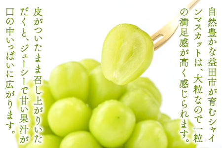B-542 【先行予約】 シャインマスカット　2房【ぶどう シャインマスカット 種なし 先行予約 しゃいんますかっと 2房 たねなし 皮ごと 大粒 期間限定 季節限定】