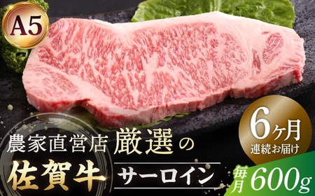 【全6回定期便】佐賀牛 A5 サーロイン ステーキ 600g（300g×2枚）【山下牛舎】 [HAD067] 黒毛和牛 牛肉 肉 ステーキ用 ロース 定期 定期便