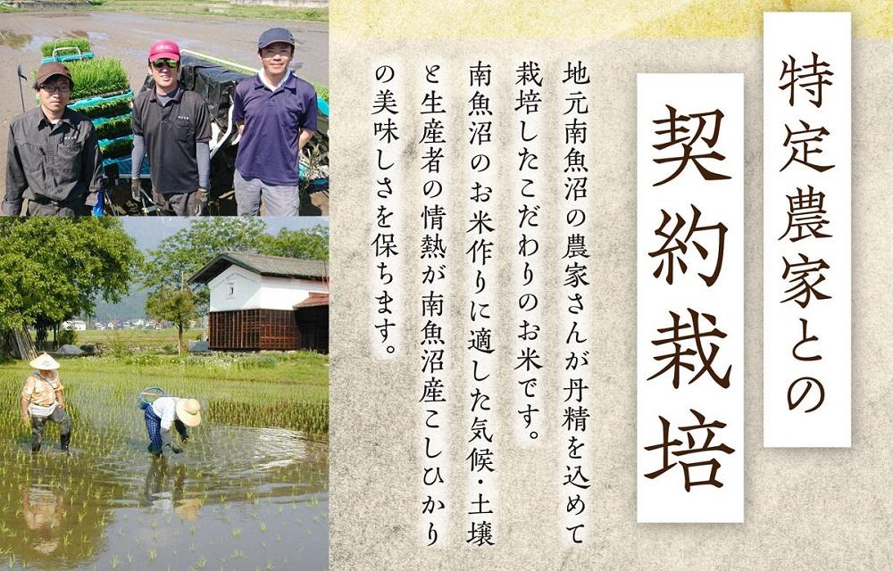 【新米予約　10月発送】南魚沼産こしひかり5kg　契約栽培  雪蔵貯蔵米