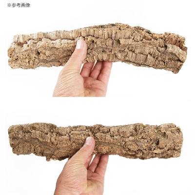 ふるさと納税 邑楽町 形状お任せ 筒型コルク SSサイズ 長さ30cm エアプランツ|09_chm-cl0101ab |  | 03