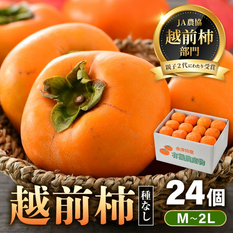 【ふるさと納税】【先行予約】 越前柿 24個入 約4kg（M～2L）≪JA受賞歴親子2代≫ ／ 果物 フルーツ 柿 産地直送 期間限定 ※2025年11月上旬より順次発送
