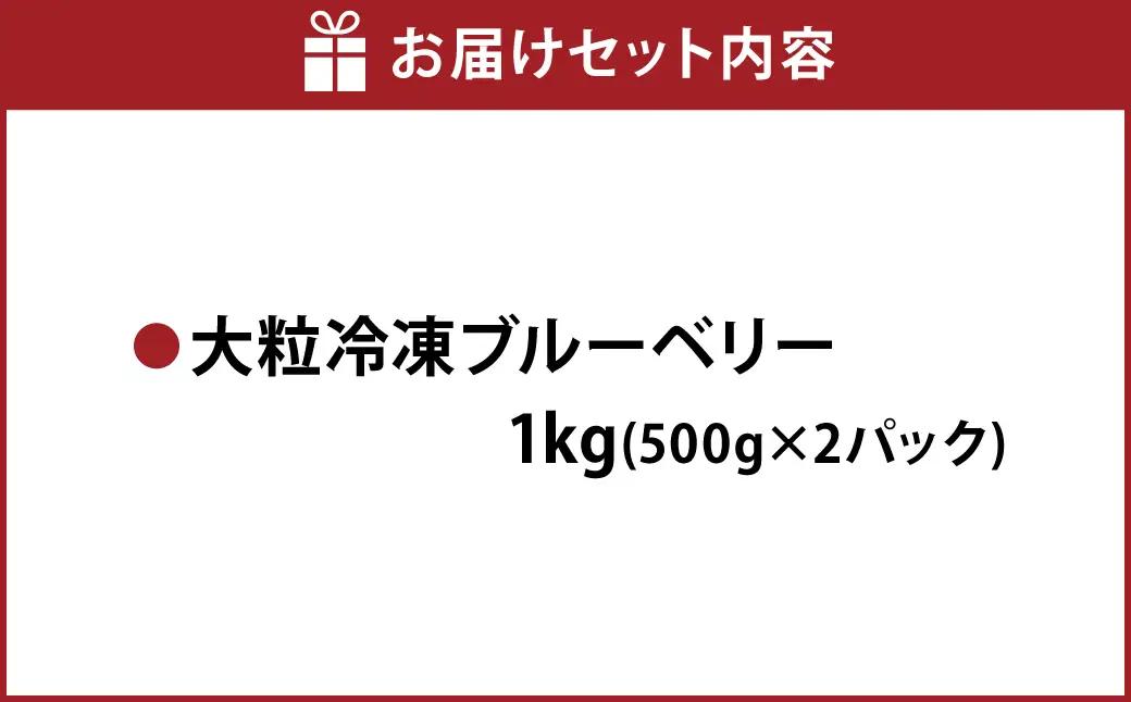 熊本県産 大粒 冷凍ブルーベリー 1kg（500g×2パック） フルーツ 果物 くだもの 冷凍 ブルーベリー 国産 【2026年7月上旬発送開始】