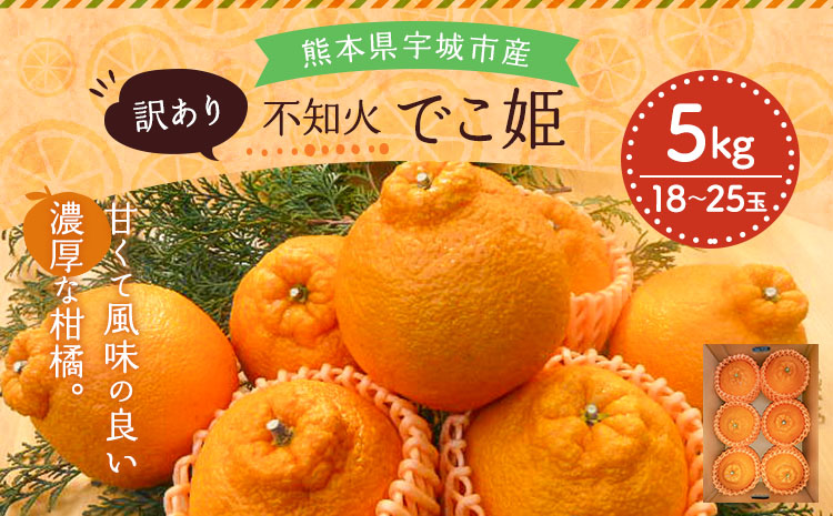 【先行受付】訳あり 不知火 でこ姫 約5kg（約18〜25玉）【吉田レモニー】【2025年3月上旬〜2025年5月下旬発送】しらぬい 柑橘 フルーツ 果物