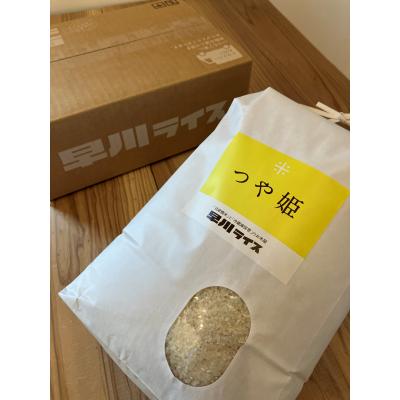 ふるさと納税 長井市 【令和7年産新米】早川ライスの山形県産「つや姫」精米10kg(5kg×2袋)_A163(R7) |  | 01