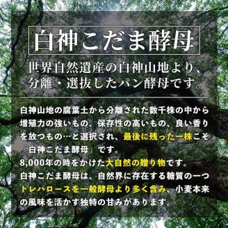 isa333 【定期便・全3回(3ヶ月連続)】プレーンベーグル(総計48個・16個×3回)焼きたてベーグルを急速冷凍！朝食やおやつにもおすすめ！【工房あけぼの】