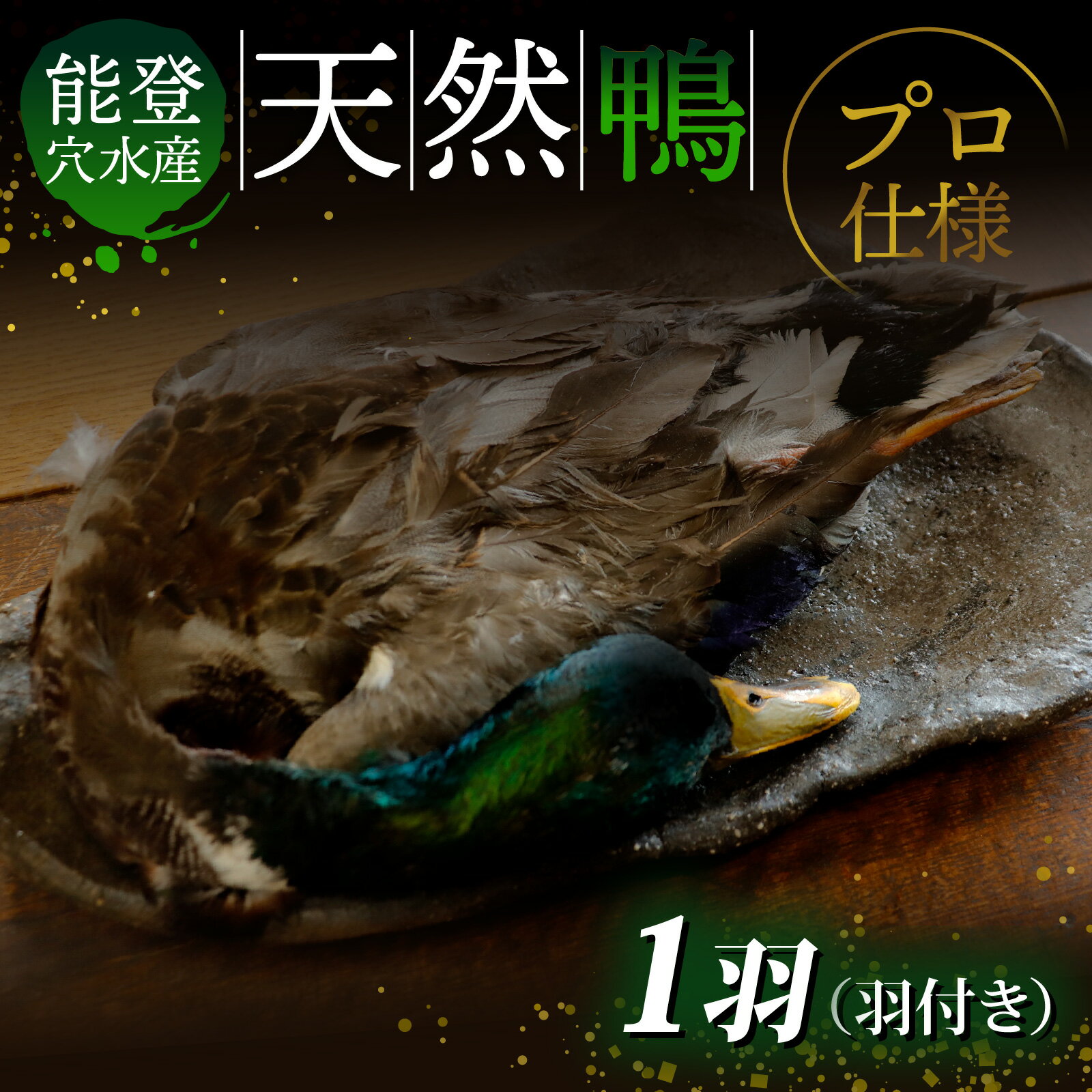 【ふるさと納税】能登 穴水産 天然「鴨」（羽付き）1羽｜奥能登 能登半島 かも カモ お肉 鴨肉 天然 冷凍 国産 羽つき 食品 お取り寄せ