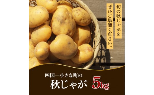 【四国一小さなまちのじゃがいも】★令和7年11月中旬発送開始★ 大野台地で採れた『 令和7年産 秋じゃが 』 5kg
