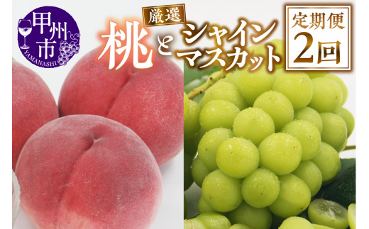 【定期便】甲州市産 厳選 もも×シャインマスカット『フルーツ定期2回便』【2026年発送】（APX）C-175 【桃 もも モモ シャインマスカット 葡萄 ぶどう ブドウ 令和8年発送 期間限定 山梨