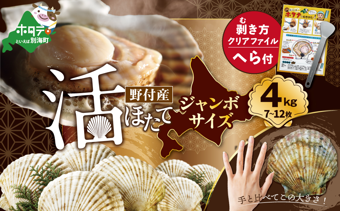 ジャンボ活ほたて 4kg相当 7〜12枚入り＜朝どり新鮮出荷!＞( ふるさと納税 ほたて 大玉 生食 活きほたて 生ホタテ 生帆立 生ホタテ貝柱 帆立貝柱 天然 冷蔵 刺身用 生 )